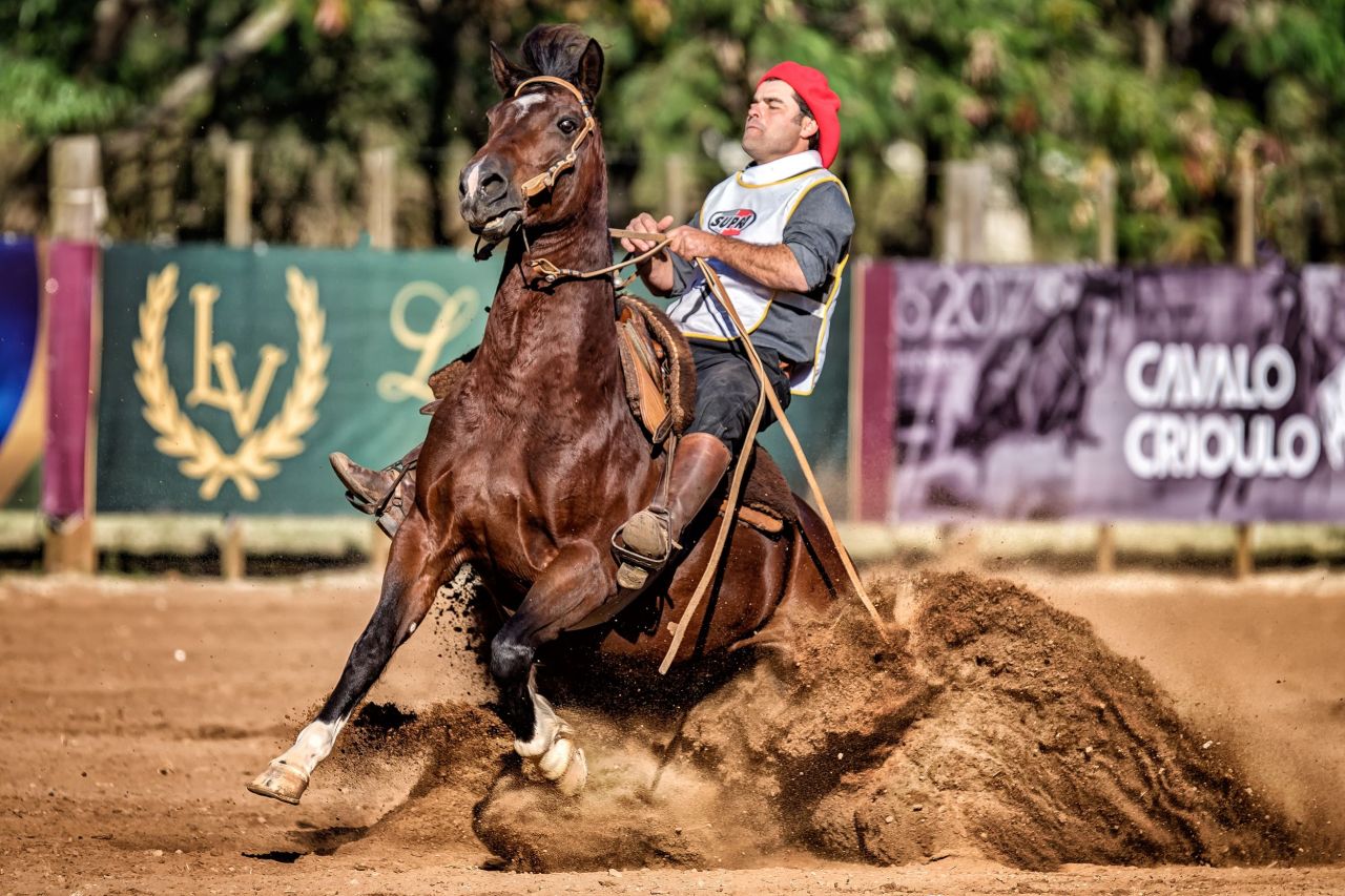 Freio de ouro Andadura