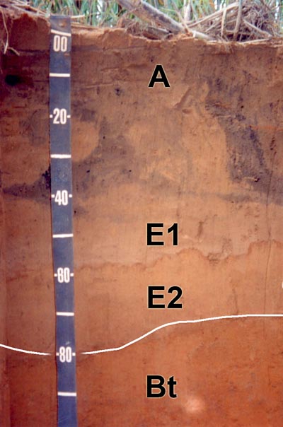 O Que é Um Gradiente Textural? Como Ele é Calculado?