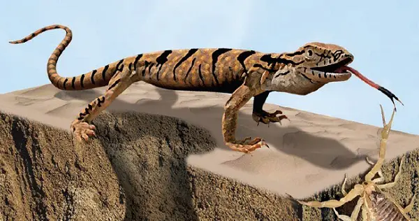Ilustração Iguana no Deserto 