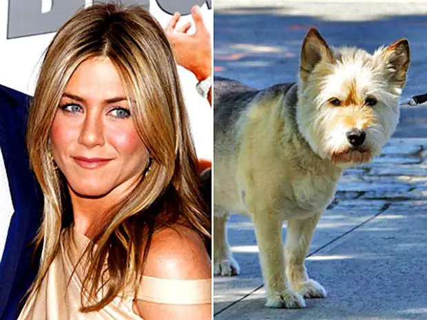 Jennifer Aniston e Seu Cachorro Normann (Corgi)