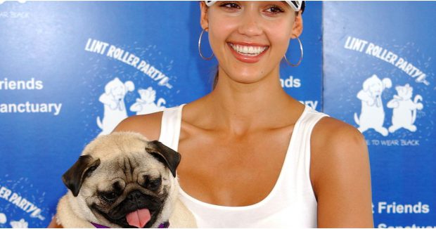 Jessica Alba e Seu Cachorro Sidy