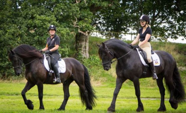 Mulheres Montando Cavalo Friesian
