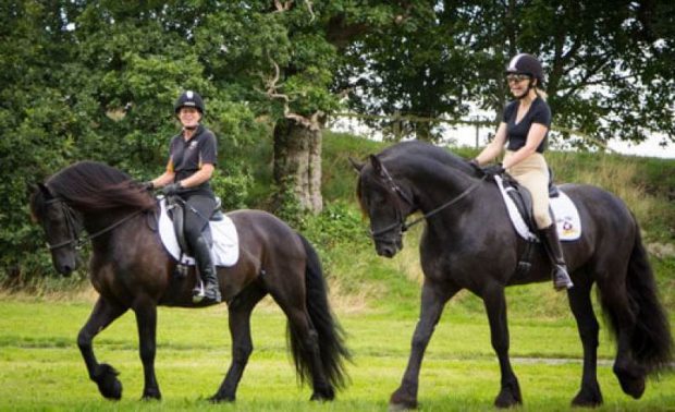 Mulheres Montando Cavalo Friesian 