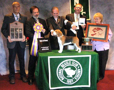 National Beagle Club