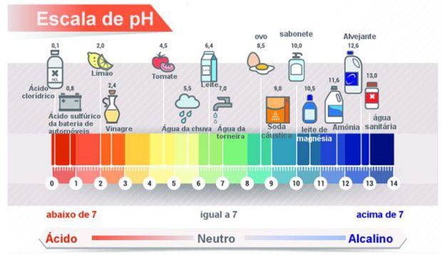 PH de Alguns Alimentos 