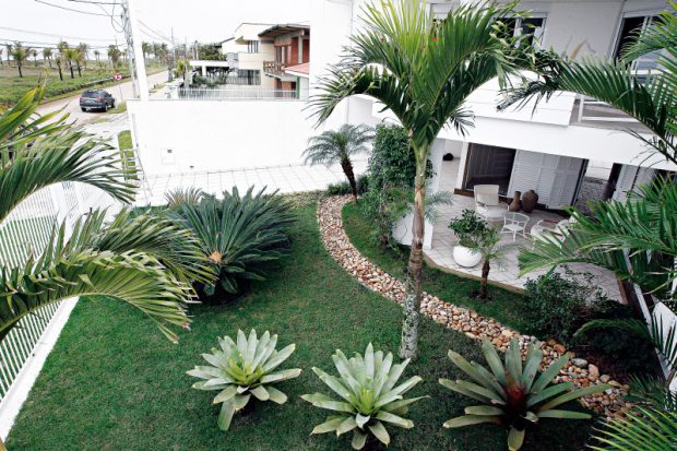 Plantas no Jardim 