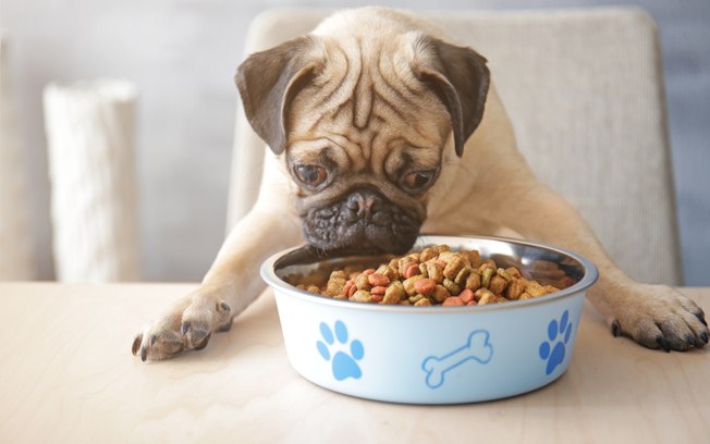 Pug Alimentação