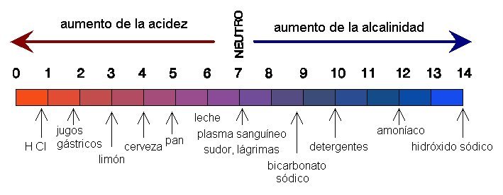 Tampões Biológicos pela Acidez