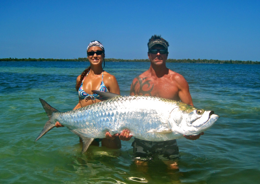 Tarpon