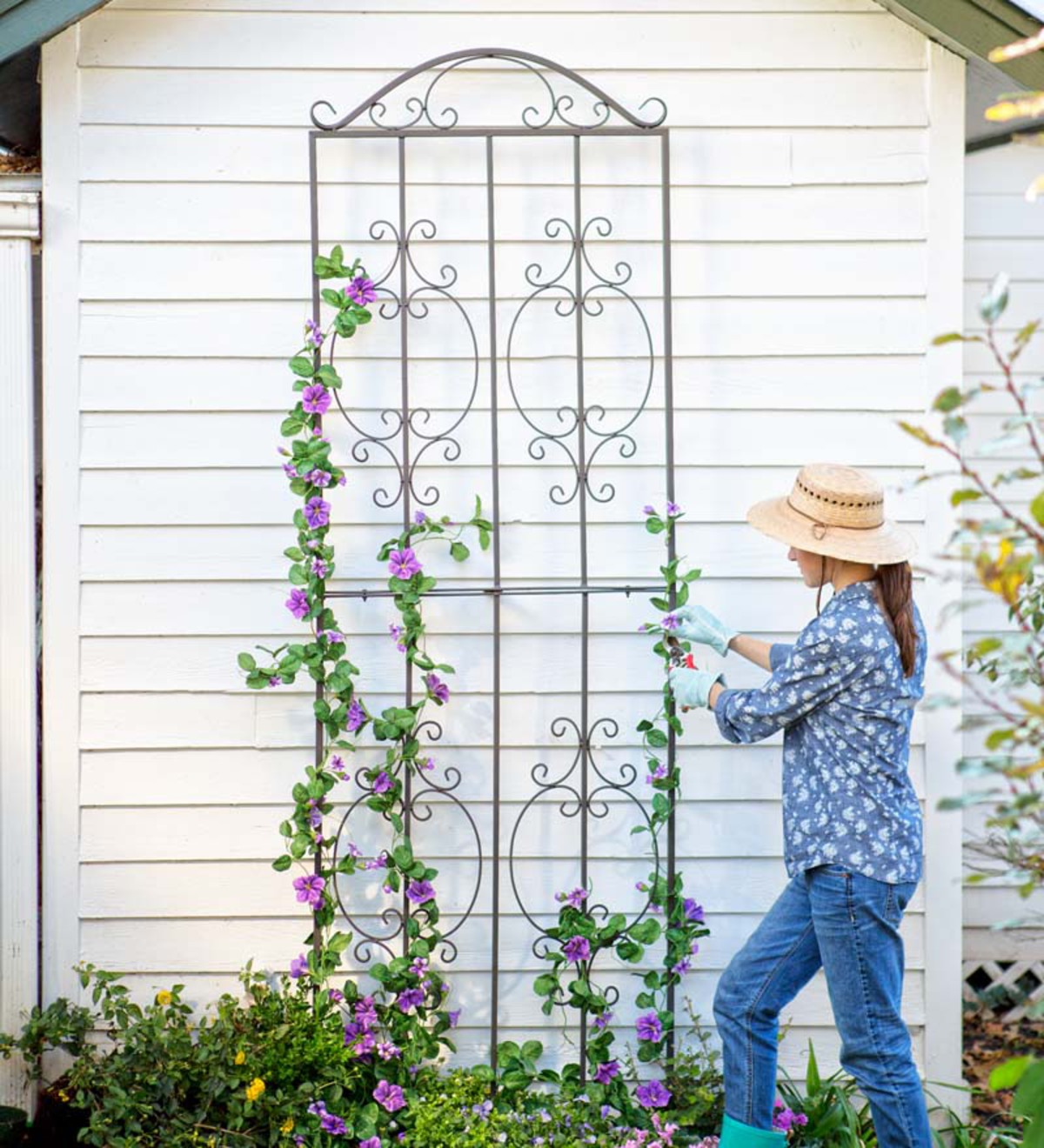 Trellises