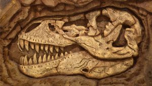 fossil