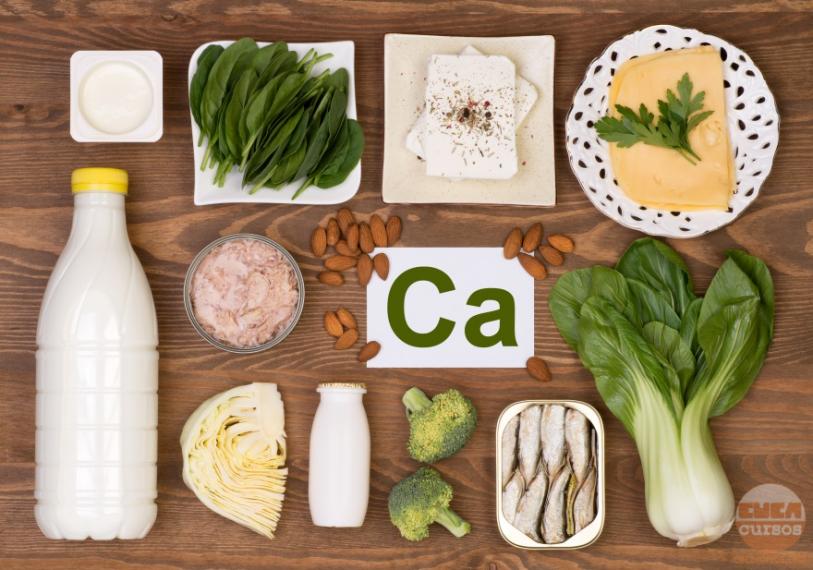 Alimentos Ricos em Cálcio