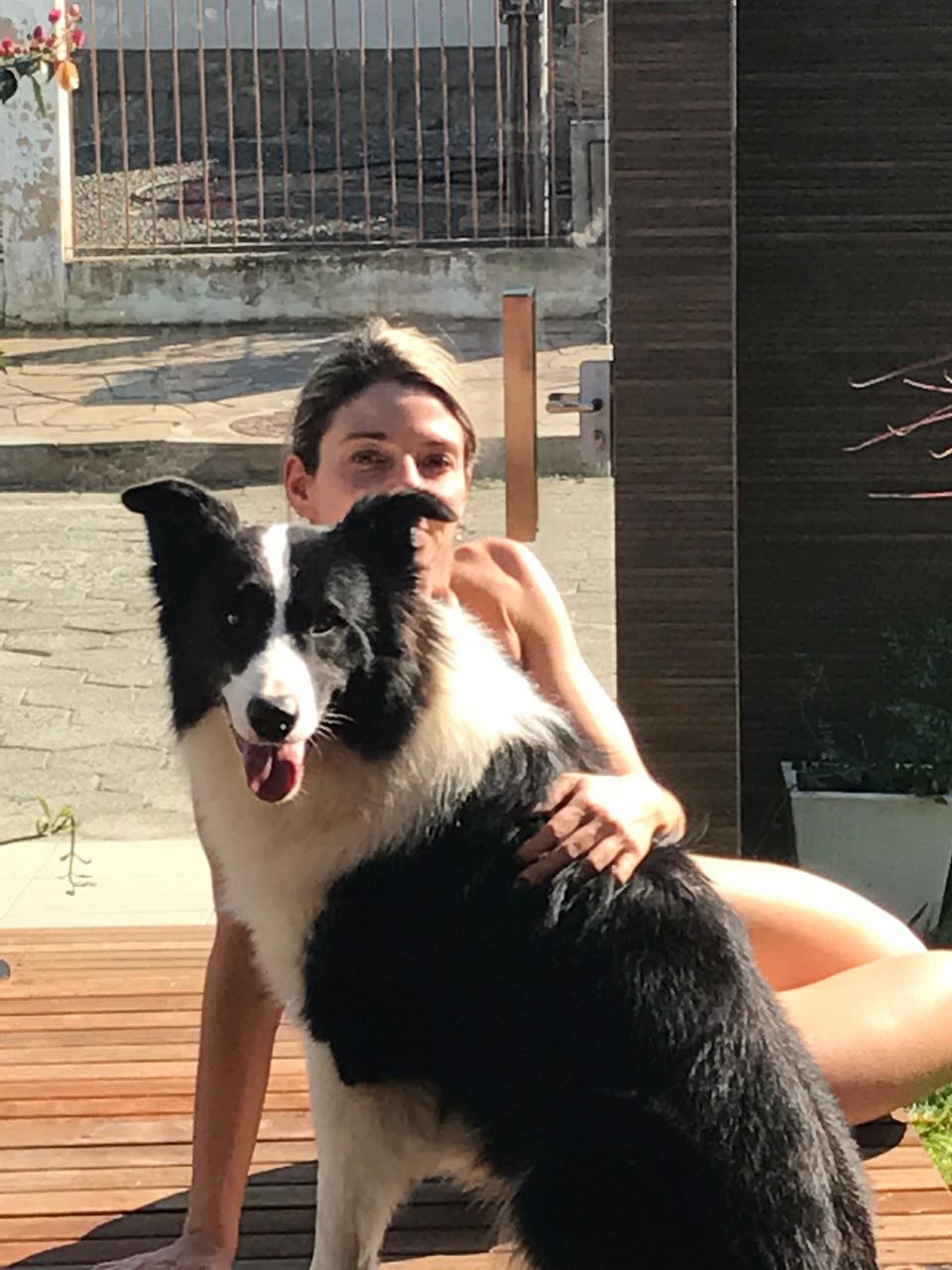 Border Collie Com a Dona 