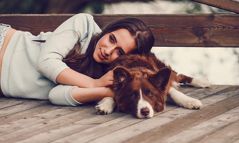 Border Collie  Deitado Com a Dona 