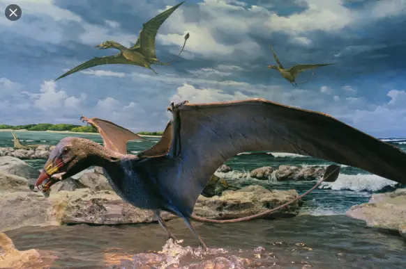 Dinossauro Voador - Pterossauros 