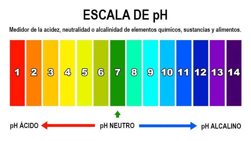 Escala de pH 