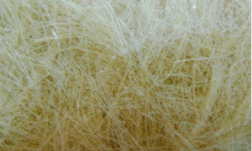 Fibra de Sisal