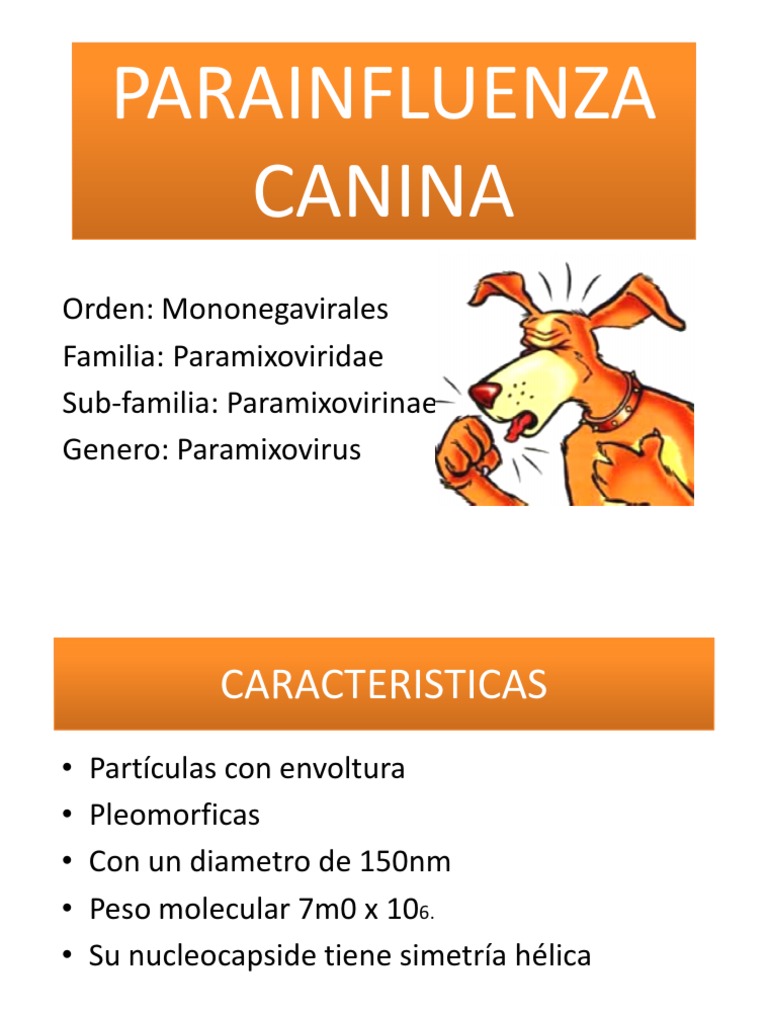 Parainfluenza