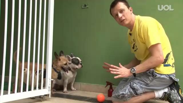 Treinando o Cachorro Pra não Entrar em Casa 