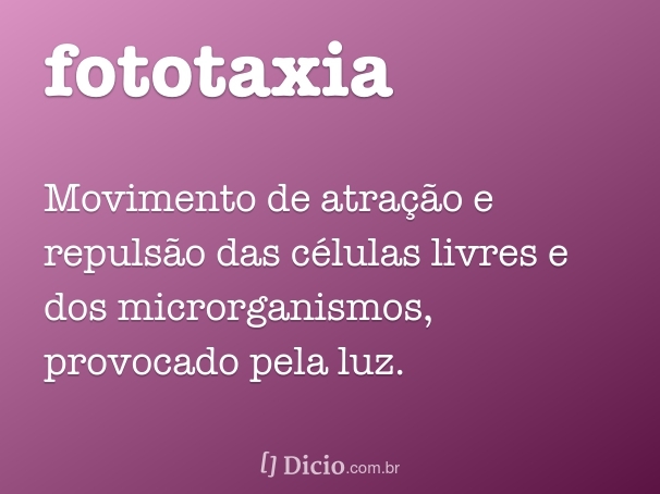 Fototaxia