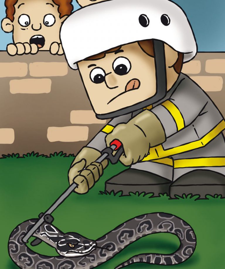 Ataques de Cobras
