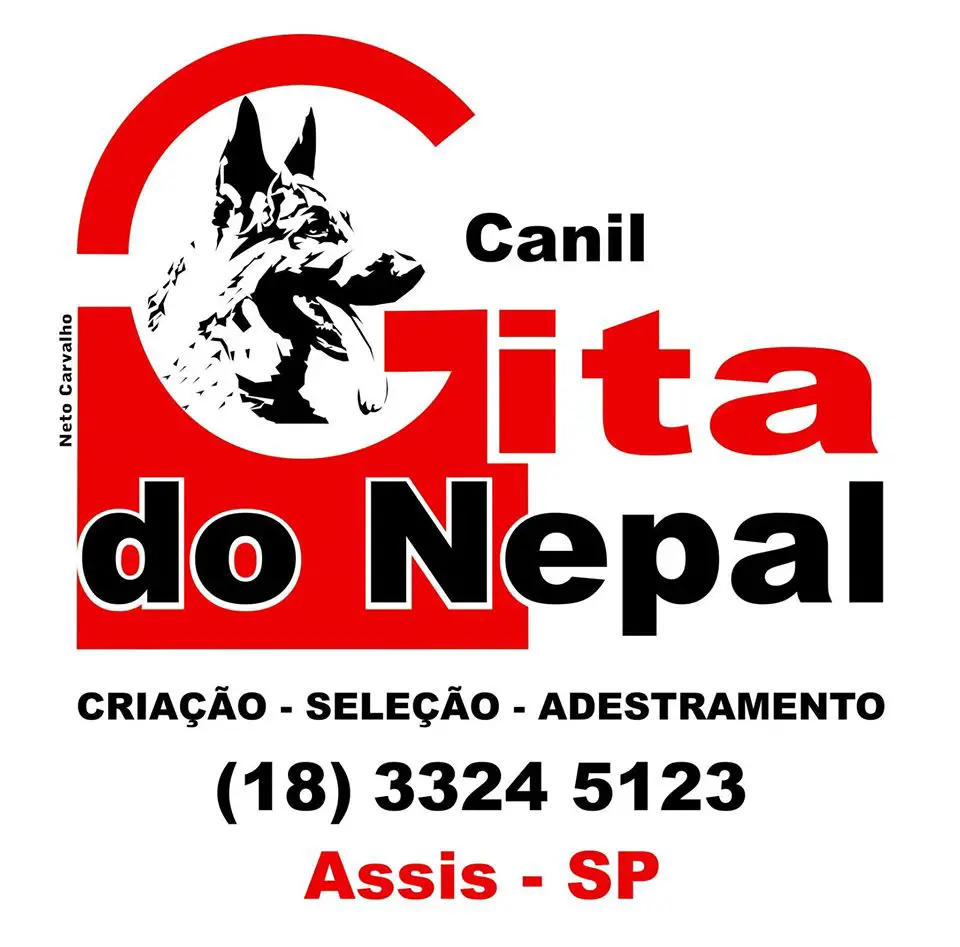 Canil Gita do Nepal