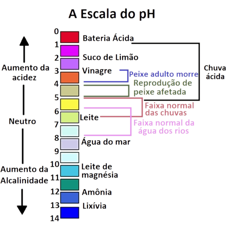 Decifrando os Resultados do pH