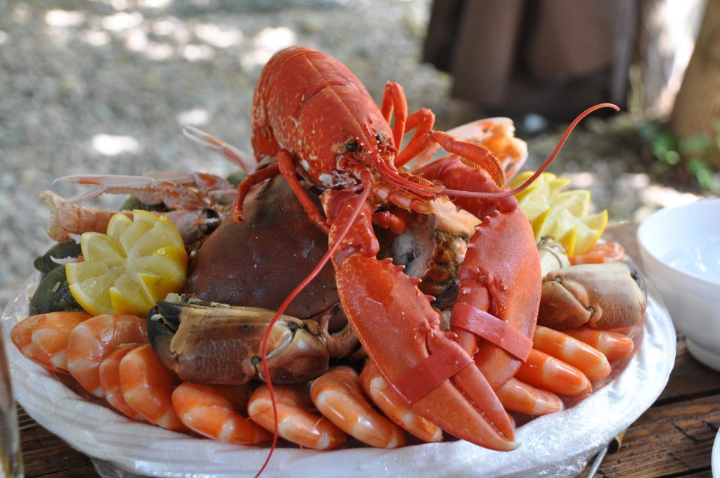 Por Que Chamamos Frutos do Mar? O Que São Eles? Mundo Ecologia Por Que Chamamos Frutos do Mar? O Que São Eles? Mundo Ecologia