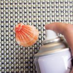Limpeza Das Conchas Vivas