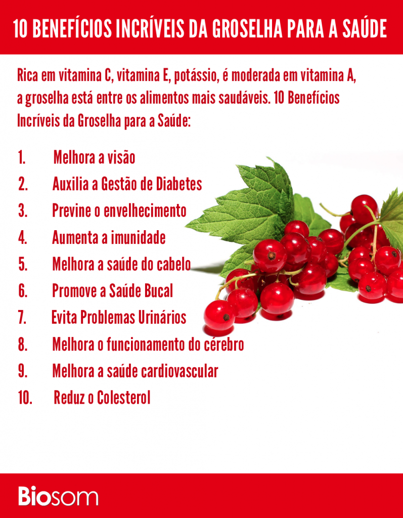 Do Que é Feita a Groselha? Qual Fruta dá Origem a Ela? Mundo Ecologia