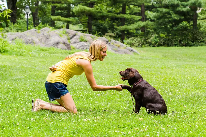 Mulher Adestrando seu Cão 