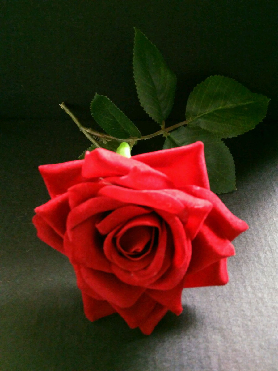 Rosa