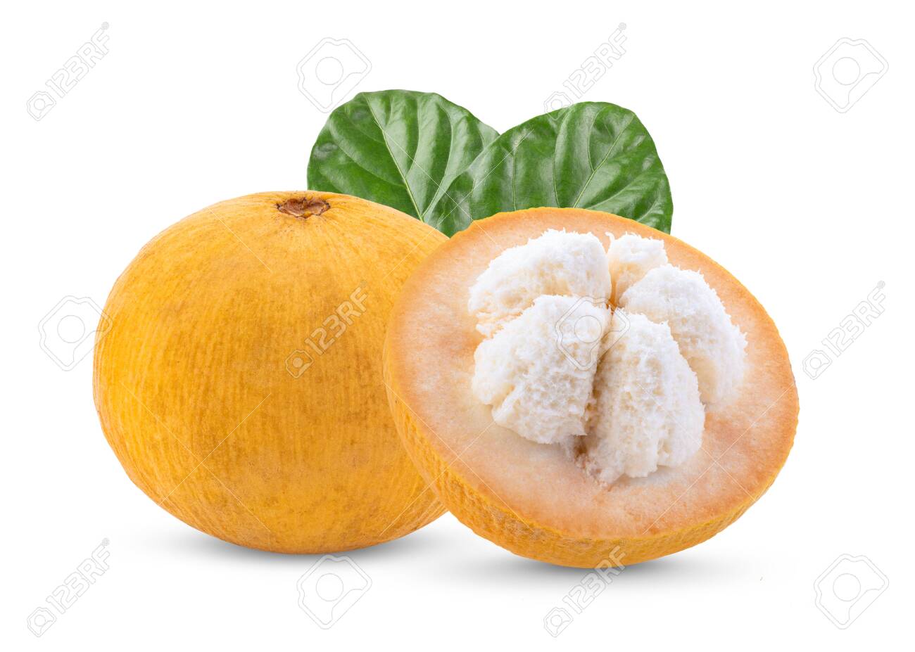 Santol