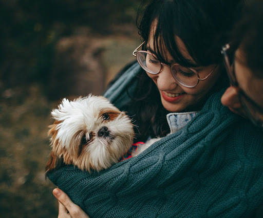 Shih Tzu no Colo de uma Chinesa 