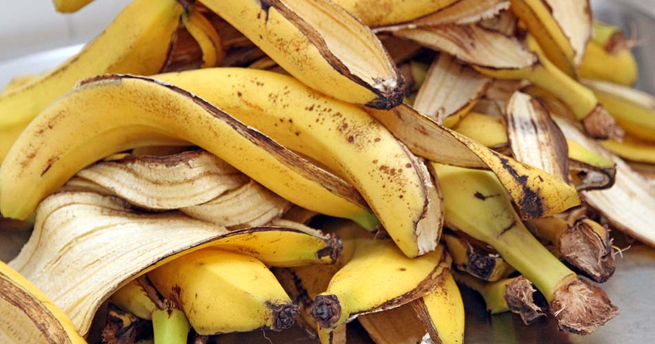 Bananas Jogada no Lixo