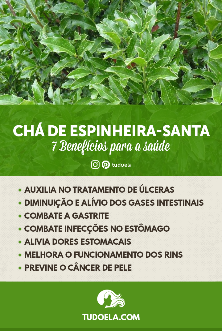 Benefícios do Chá de Espinheira-Santa 