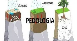 Exemplo do Pedologia