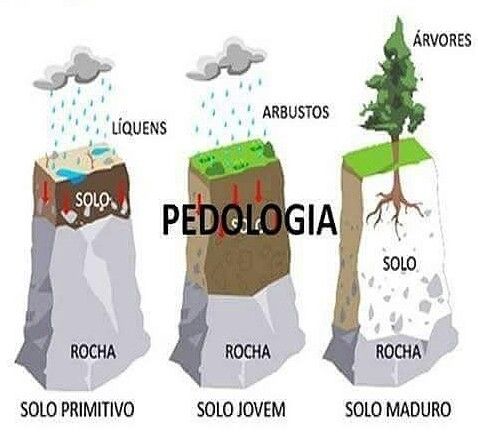 Exemplo do Pedologia 