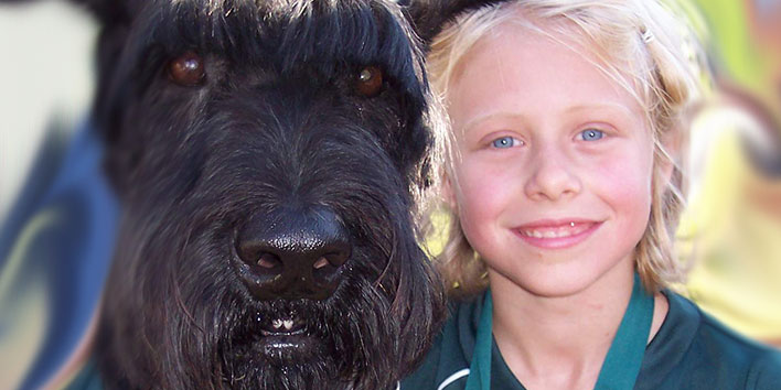 Schnauzer Gigante  Com seu Dono 