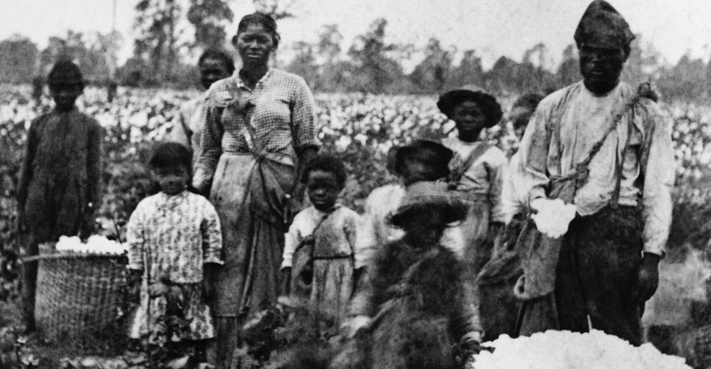 Produção De Algodão No Brasil Colonial