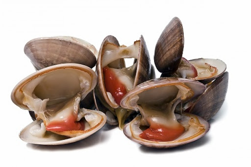 Bivalves 