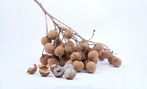 Physalis dentro do invólucro de folhas secas em forma de lanterna, fruta com letra P