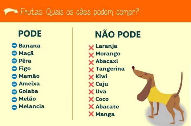 Lista de Frutas Que Caes Podem e Nao Podem Comer