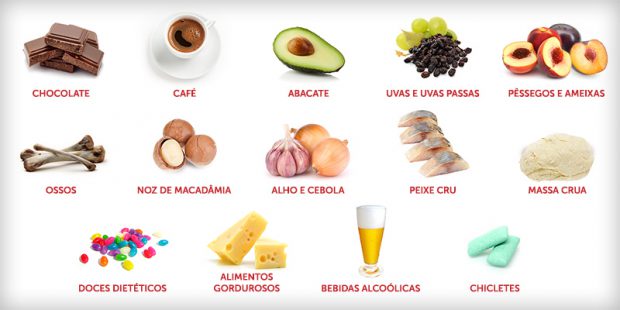 Lista de Alimentos Que Cachorros Nao Podem Comer 