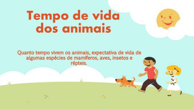 Tempo de Vida dos Animais