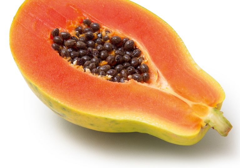 Frutas Que Começam Com a Letra M: Nome e Características | Mundo Ecologia