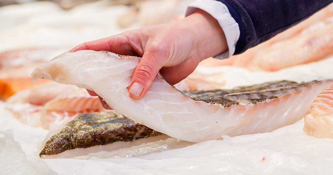 Qual o Peixe que Tem Mais Gordura?