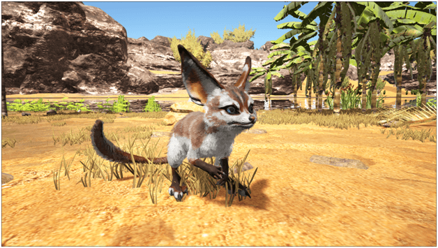 Curiosidades do Jerboa