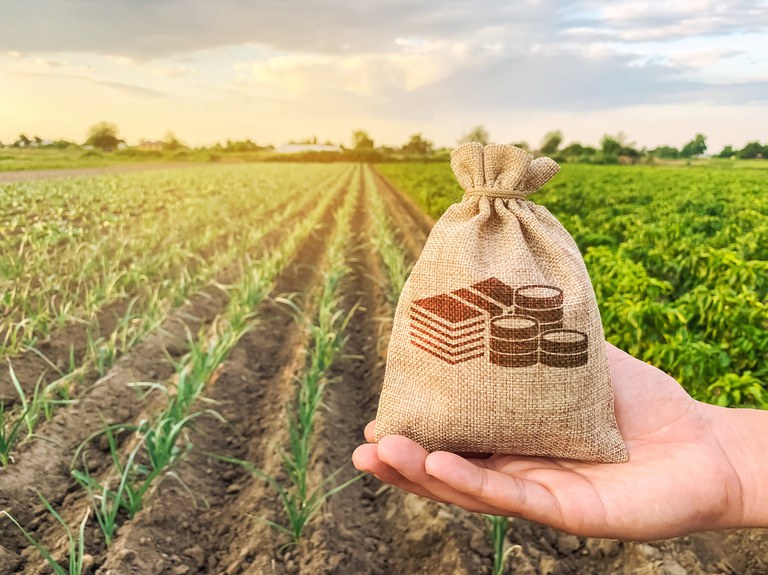 Contrato Futuro em Relevância no Setor Agropecuário