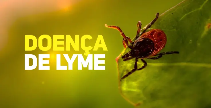 Doenças de Lyme 